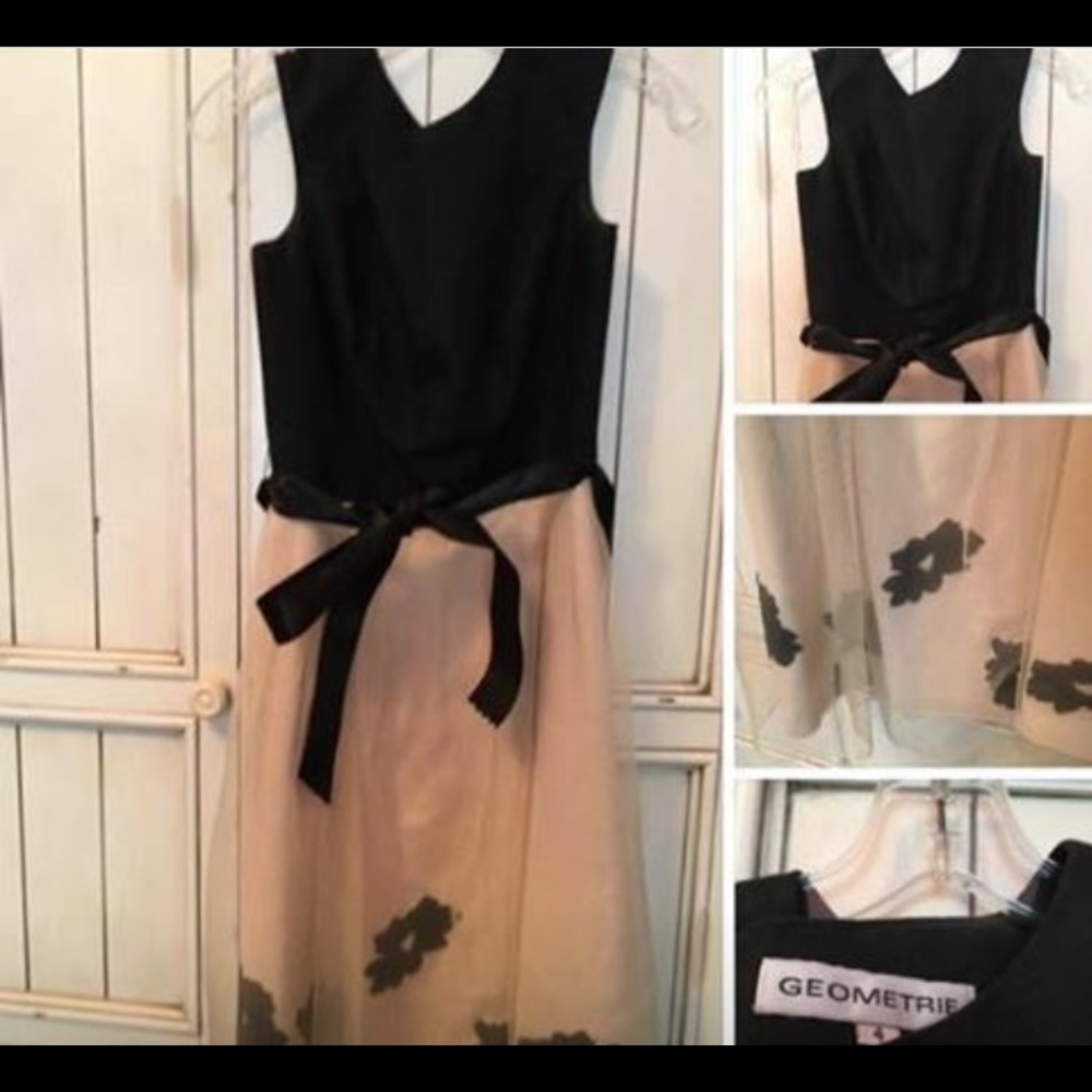 Beautiful Boutique Linen & Chiffon Dress